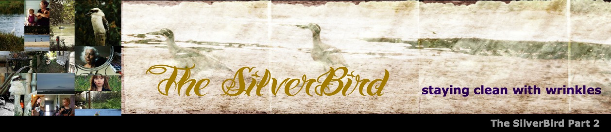 The SilverBird Part 2